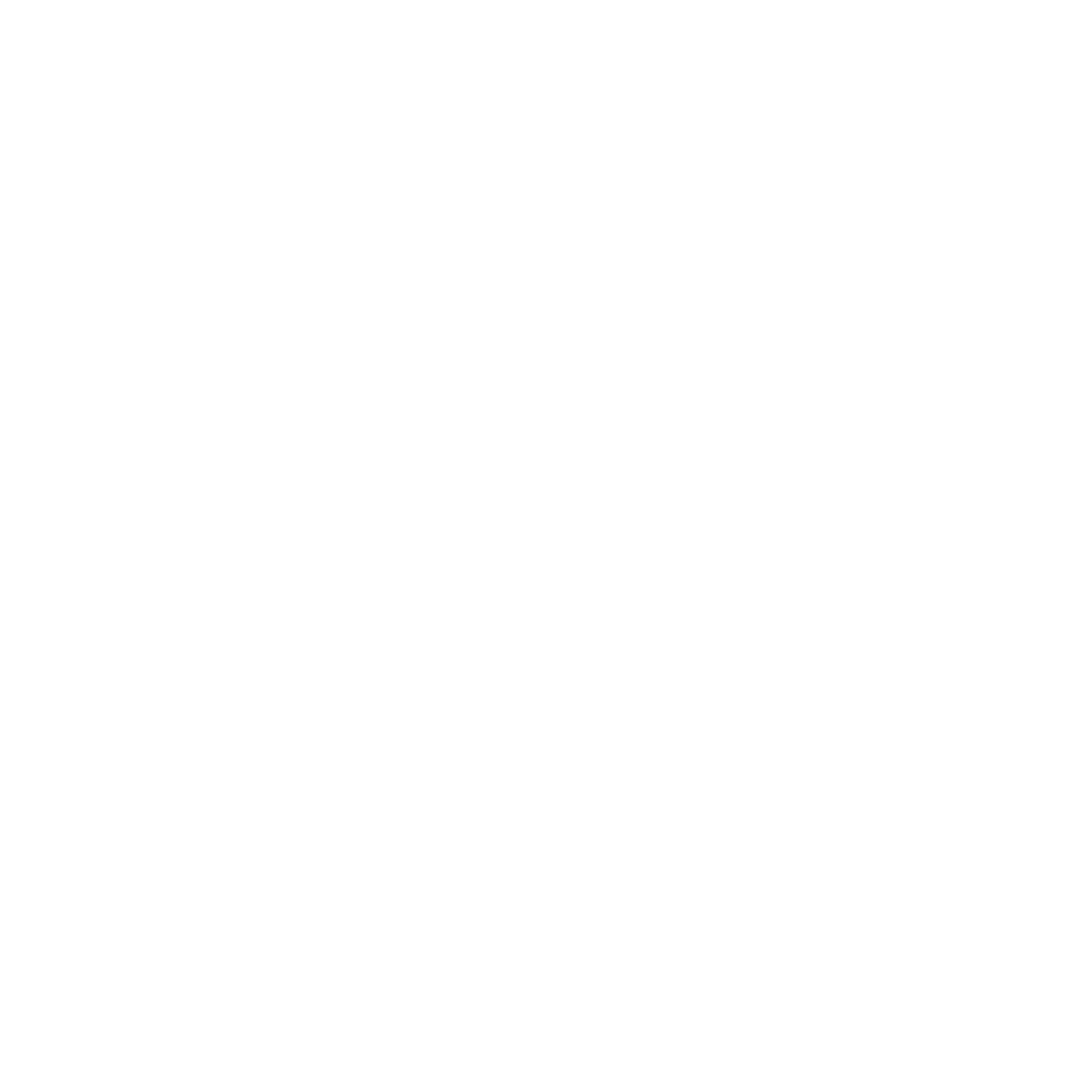 logo NanLicy Painting